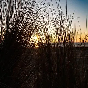 Vitamin Sea Zandvoort